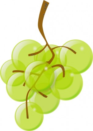 303x425 Grape Clip Art Download
