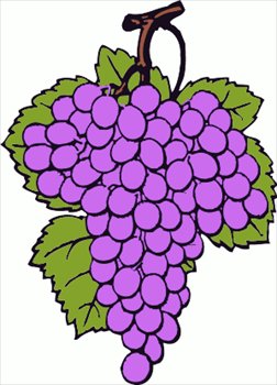 252x350 Grapes Black And White Clipart 4
