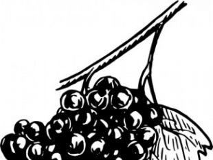 310x233 Grapes Clip Art Free Vectors Ui Download