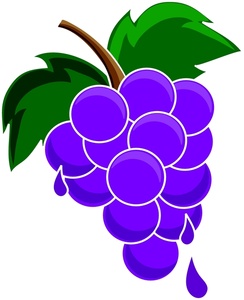 244x300 Grapes Clip Art