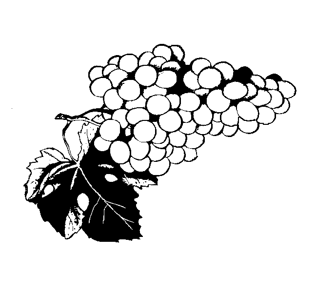 648x601 Food Clipart Page 22