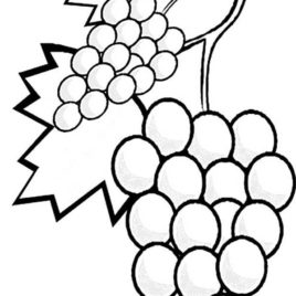 268x268 Coloring Page Of Grapes Kids Drawing And Coloring Pages