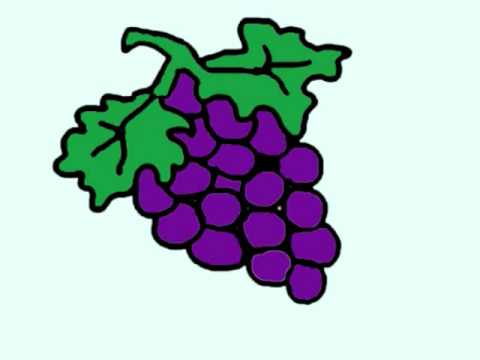480x360 Drawn Grapes