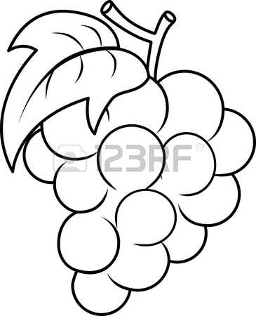 365x450 Drawn Grapes Cartoon