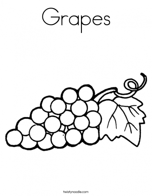 503x650 Grapes Coloring Pages