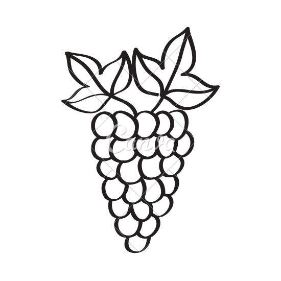 550x550 Grapes Fresh Fruit Drawing Icon