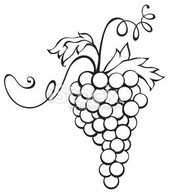 331x380 88 Best Grape Leaves And Berries Images Draw