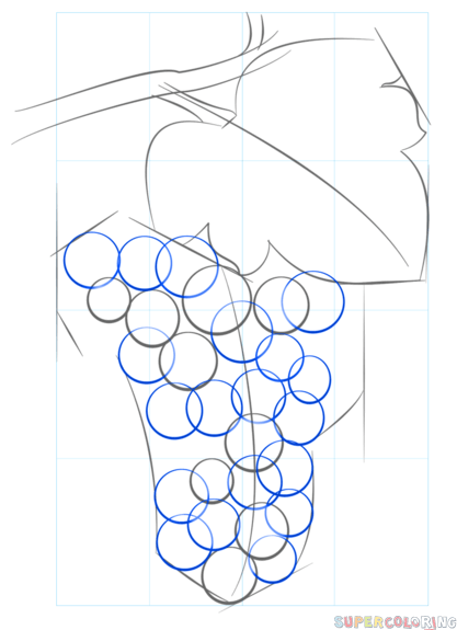417x575 How To Draw Grapes Step By Step Drawing Tutorials