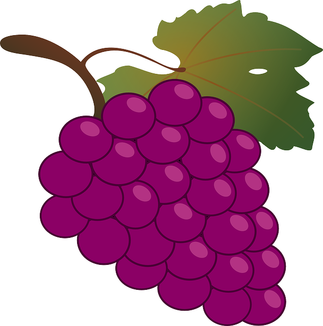 633x640 Red, Green, Food, Fruit, Wine, Grapes, Outline, Drawing