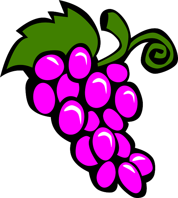 577x640 Simple, Food, Fruit, Grapes, Drawing, Cartoon, Purple