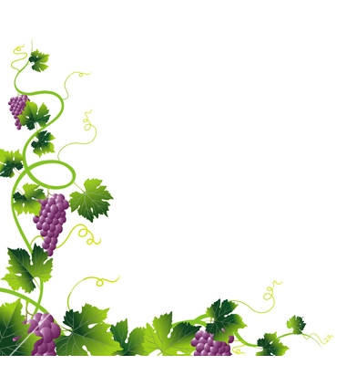380x400 Grape Vine Border Clipart