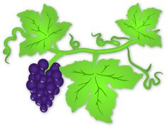 235x180 Grape Vine Clip Art Free Grape Clipart Clip Art