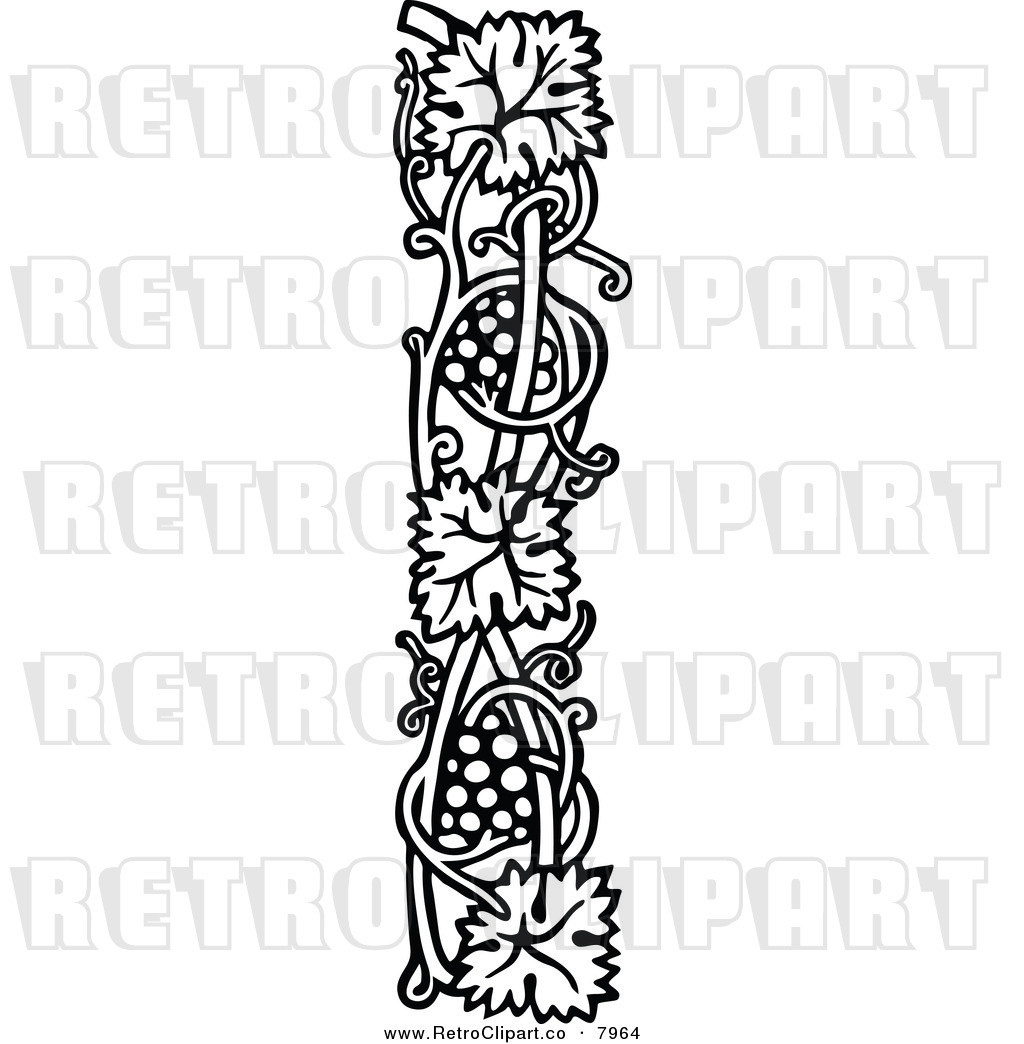 1024x1044 Grapevine Border Clipart
