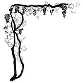 170x170 Grapevine Clip Art