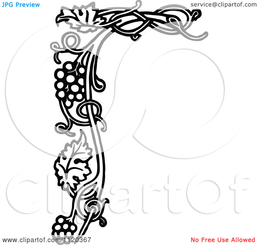 1080x1024 Grapevine Clipart Clipart Panda