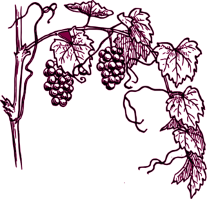 300x288 Maroon Grape Vine Clip Art