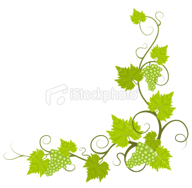 380x373 Vine Clipart