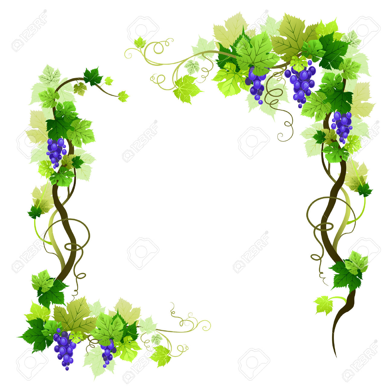 grapevine-border-cliparts-free-download-on-clipartmag