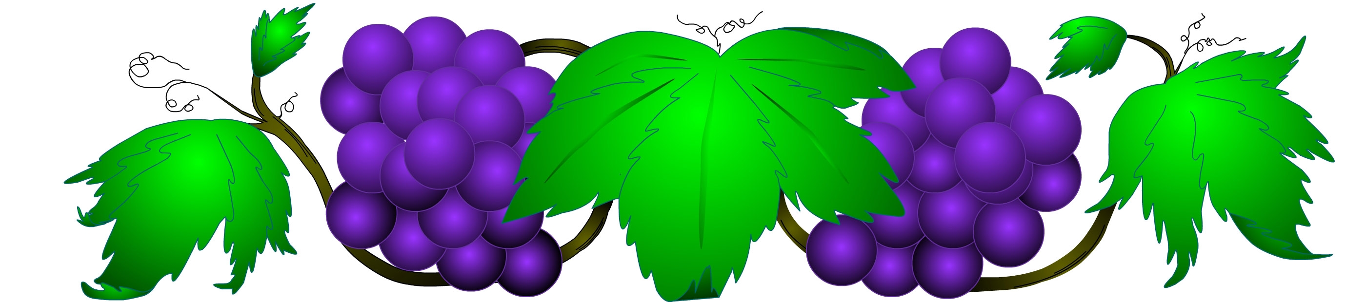 2800x620 Grape Vine Clip Art