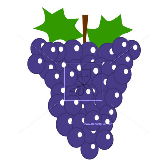 548x548 Grape Clipart Mga