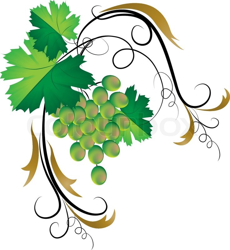 737x800 Illustration Golden Frame With Grapevine