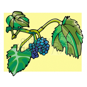 300x300 Royalty Free Mulberry 152136 Clip Art Images, Illustrations
