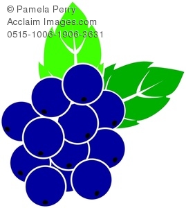 269x300 Art Illustration Of A Cluster Of Blueberries Growing