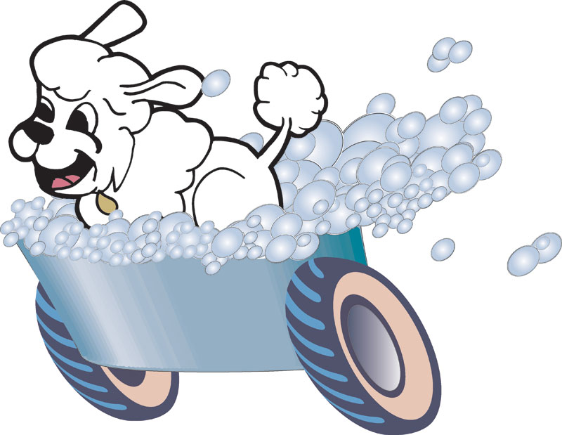 800x619 Graphics For Dog Wash Graphics