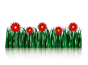 300x223 Grass And Flowers Royalty Free Stock Image