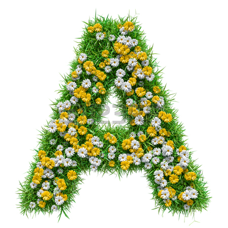 450x450 Letter H Of Green Grass Flowers Stock Photo, Picture