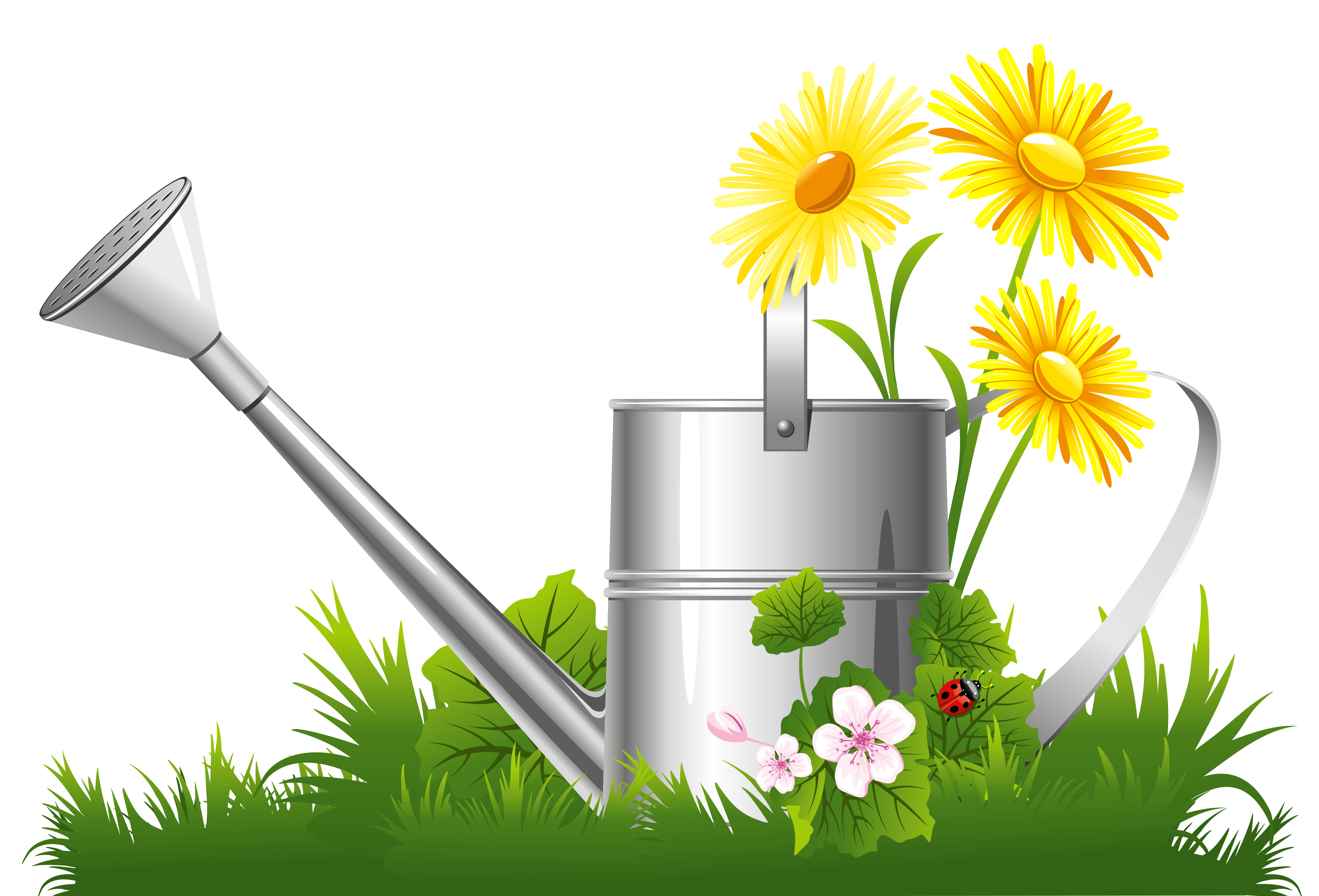 9348x6350 Spring Decoration With Water Can Grass And Flowers Png Clipart