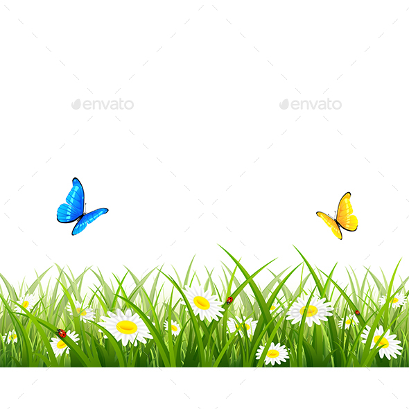 590x590 Butterflies Flying Over Grass And Flowers By Losw Graphicriver