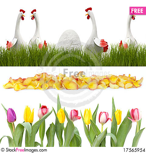480x500 Chickens In The Grass And Flowers In A Row