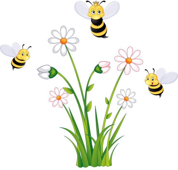 736x704 Bees Clipart Grass