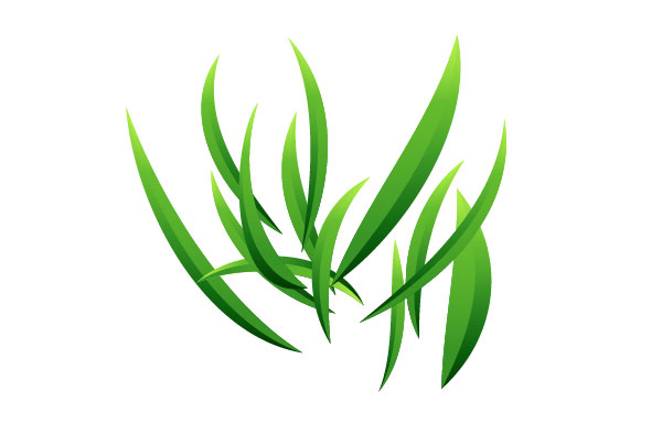 600x404 How To Create Vector Grass Background In Adobe Illustrator