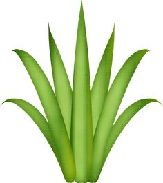 236x265 Two Palm Trees Png Clipart Image Summer Clip