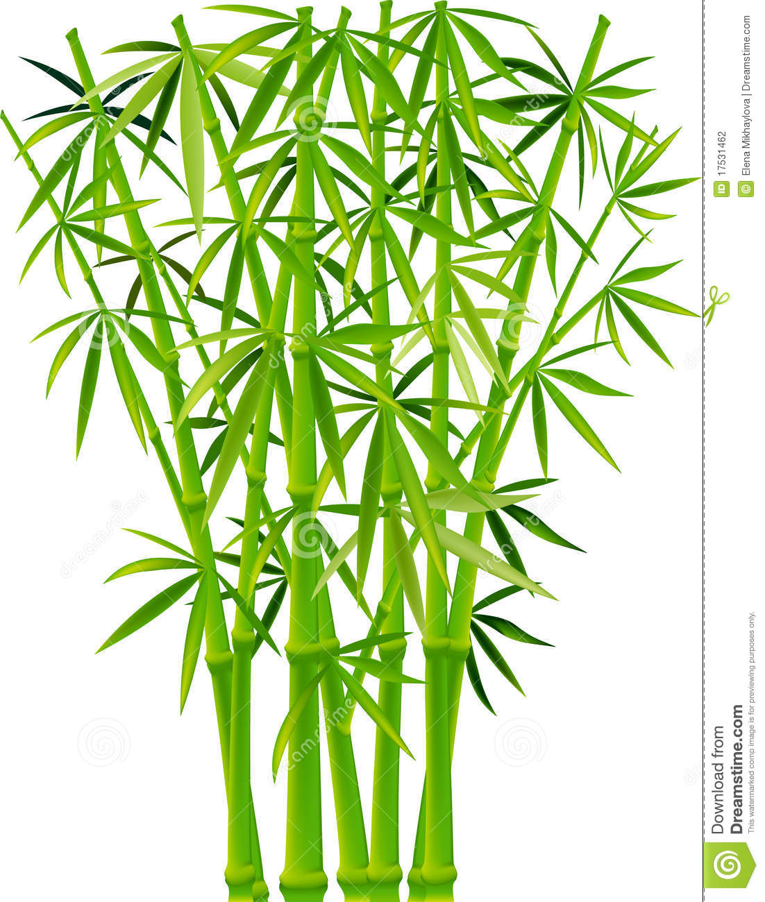 1102x1300 Bamboo Clipart Bamboo Forest