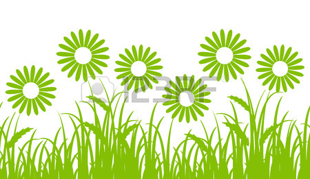 450x261 8,571 Daisy Border Cliparts, Stock Vector And Royalty Free Daisy