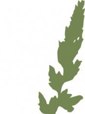 173x233 Grass Border Clip Art Free Vectors Ui Download