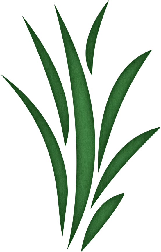 554x870 Grass Clipart Transparent
