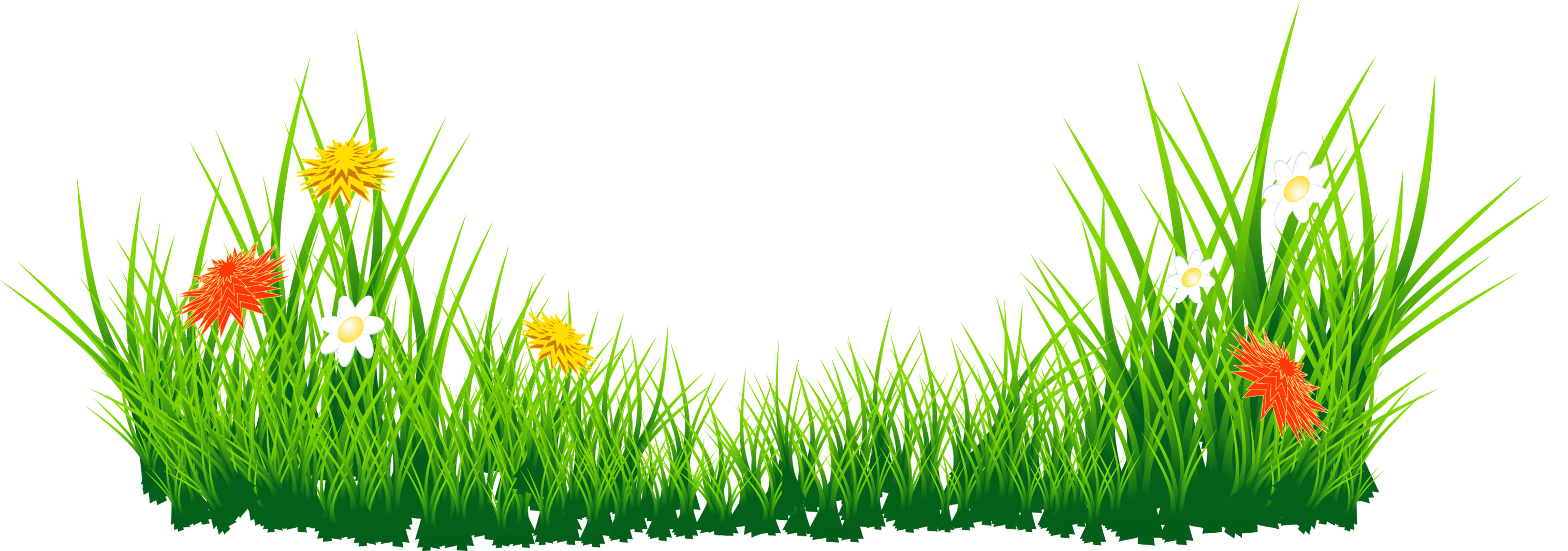 3029x1064 Sea Grass Clipart Grass Border