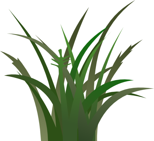 512x467 Spring Grass Transparent Clip Art Image