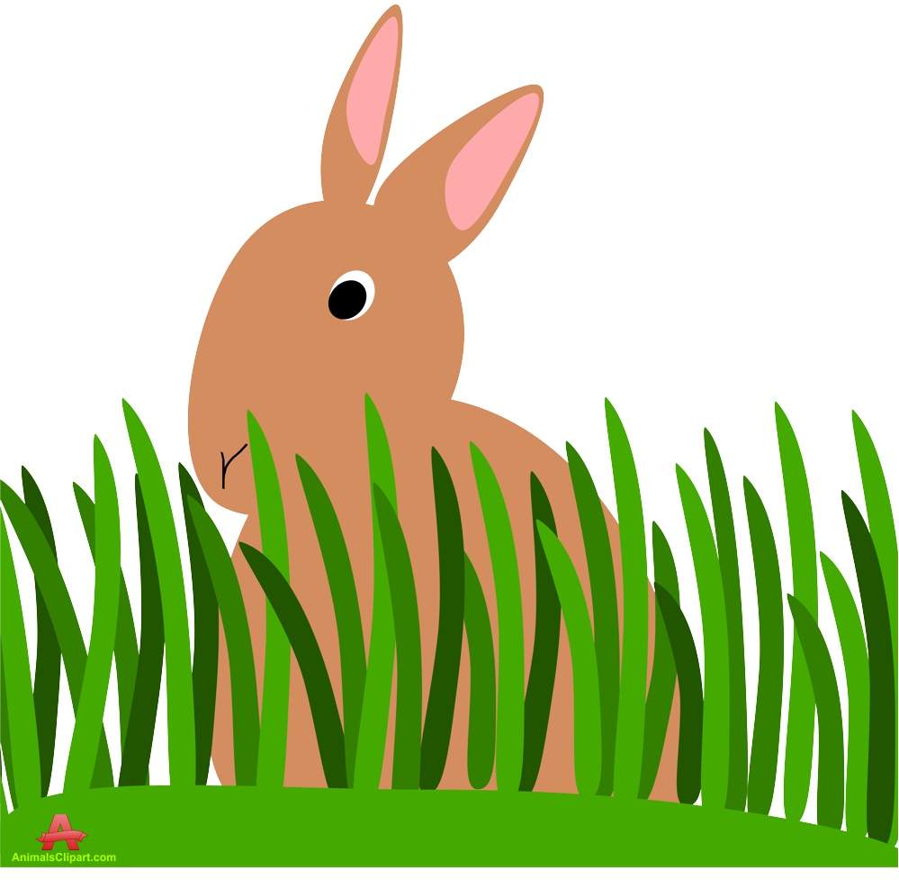 999x977 Grass Clipart Nature