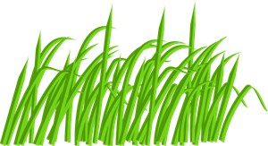 300x163 Green Grass Blade Png Clip Arts For Web