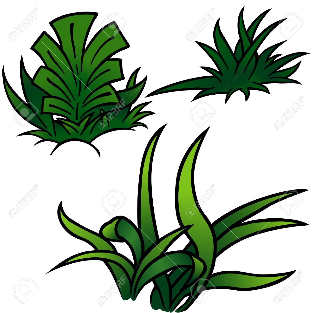 1300x1300 Sea Grass Clipart Comic
