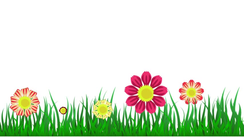 852x480 Video Animation Floral Background Waving Green Grass With Flowers