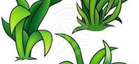 272x125 Grass Border Clip Art
