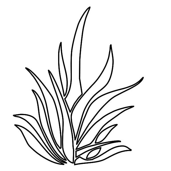 600x600 Clip Art Basic Stunning Grass Coloring Pages