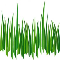 236x236 Forest Clip Art Grass Cliparts