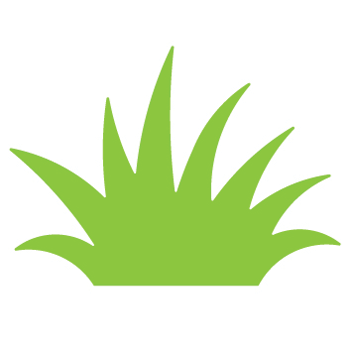 350x350 Grass Clipart Grass Patch